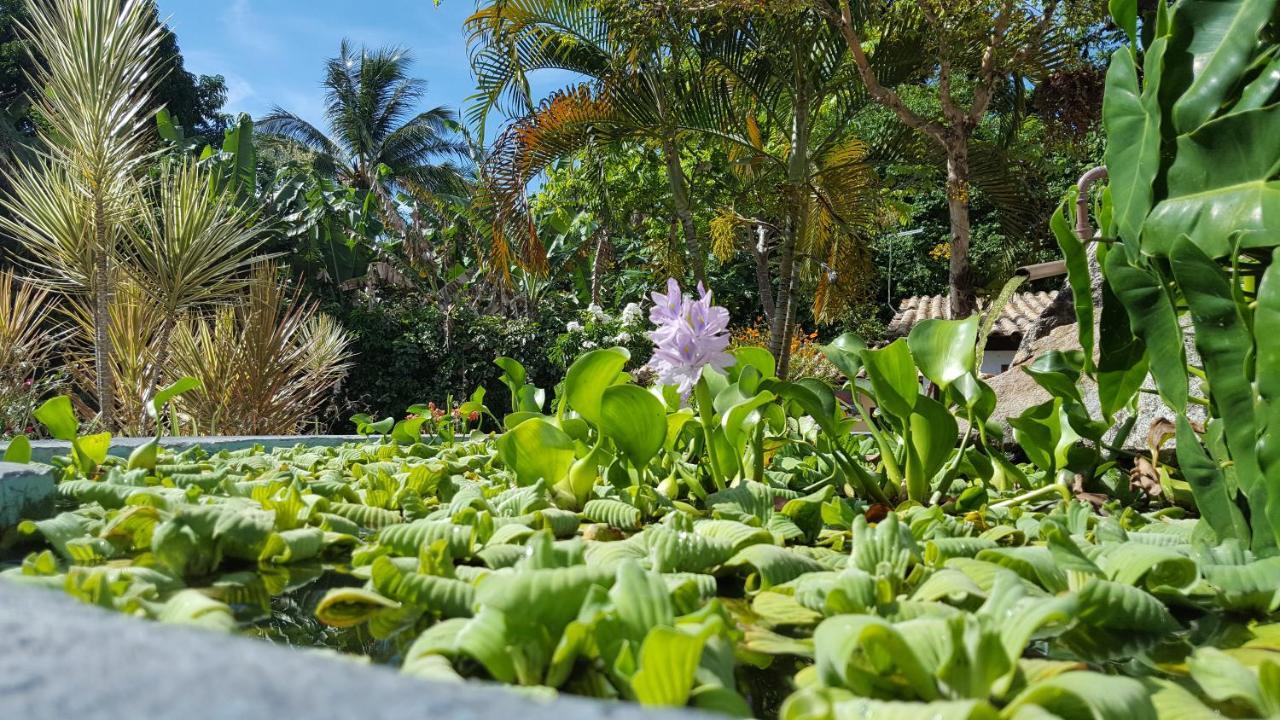 Pousada Tubarao Porto Seguro Buitenkant foto